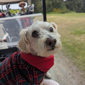 Team Page: Benz's Team